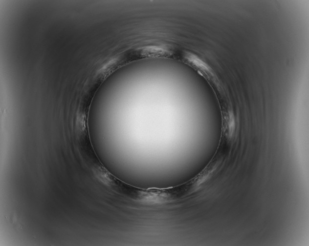 X0000085000621200703121502