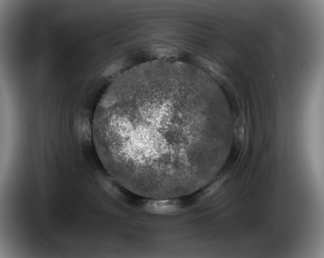 X0000085000622200703121502