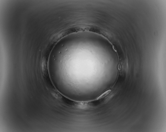 X0000085000623200703121502