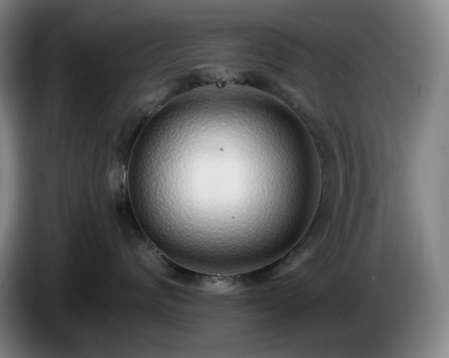 X0000085000624200703121502