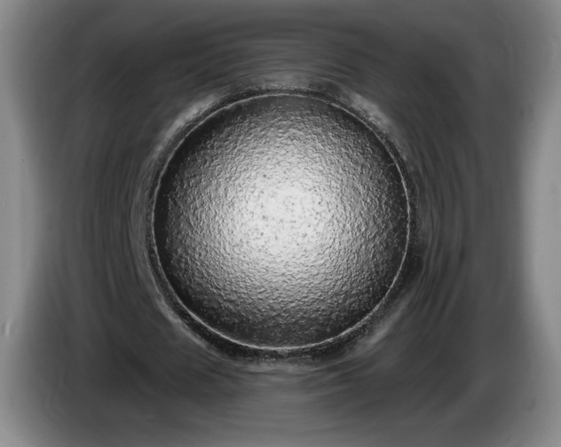 X0000085000625200703121501