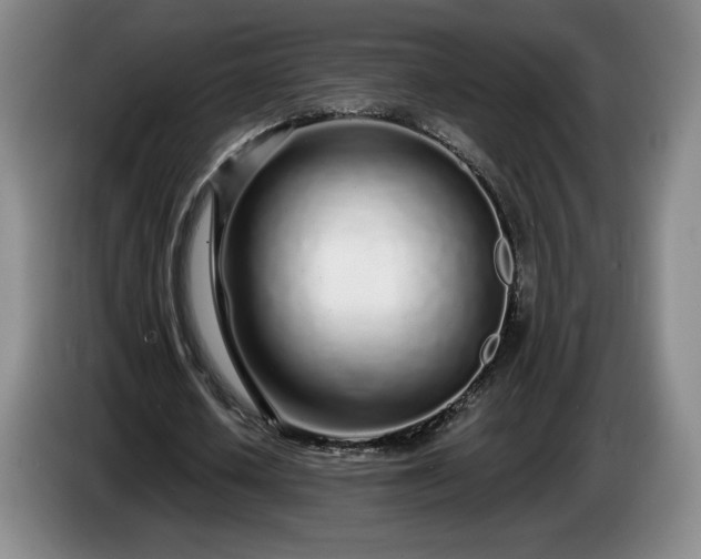 X0000085000626200703121501