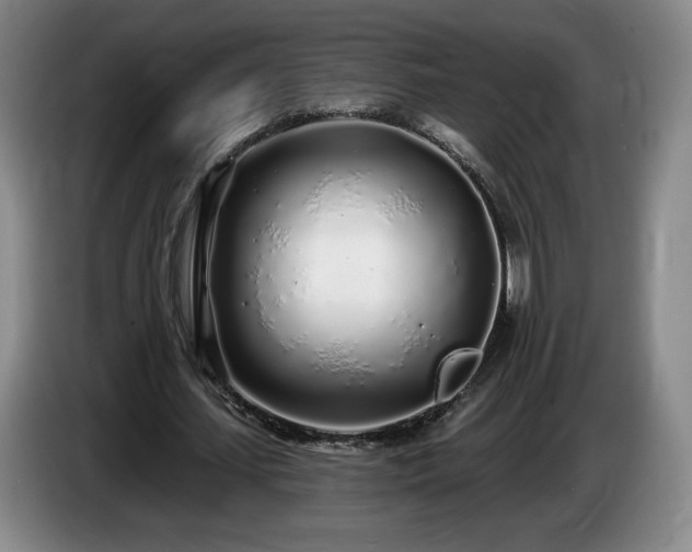 X0000085000627200703121501