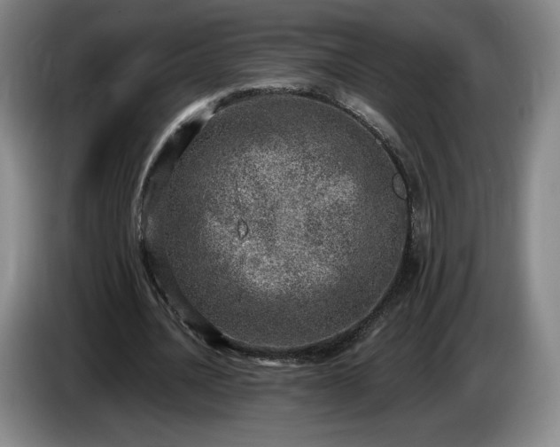 X0000085000628200703121501