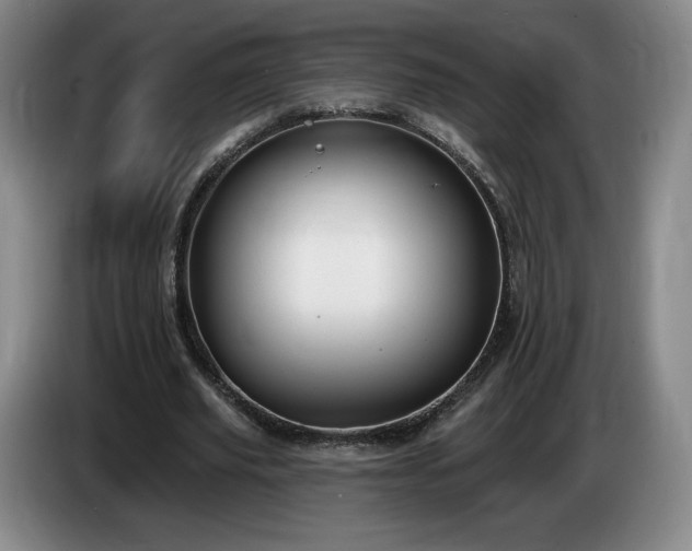 X0000085000629200703121501