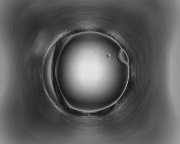 X0000085000630200703121501