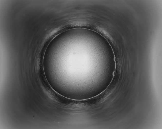 X0000085000631200703121501