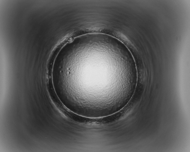 X0000085000634200703121501