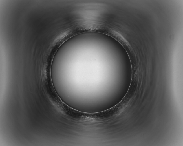 X0000085000635200703121501