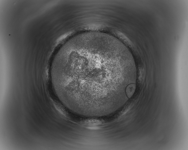 X0000085000636200703121501