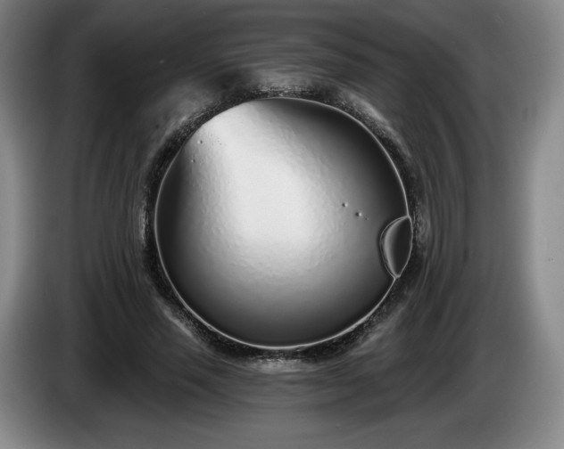 X0000085000637200703121501