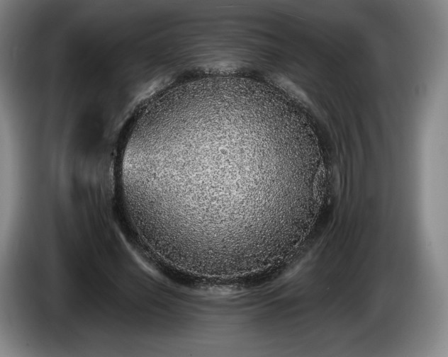 X0000085000638200703121501