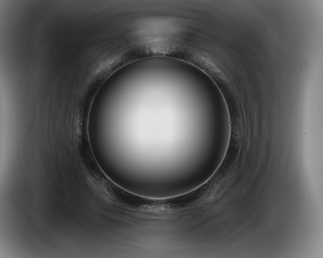 X0000085000639200703121501