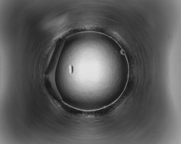 X0000085000640200703121501