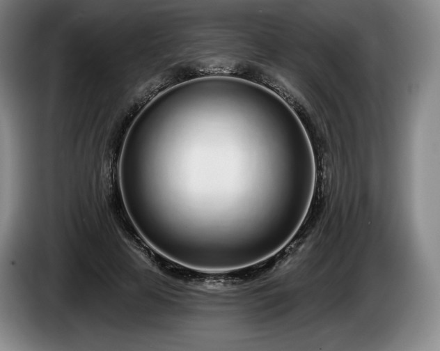 X0000085000641200703121501