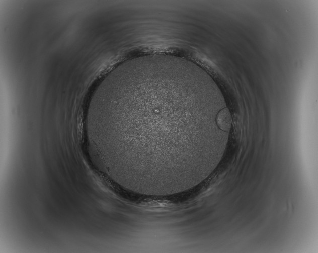 X0000085000642200703121501