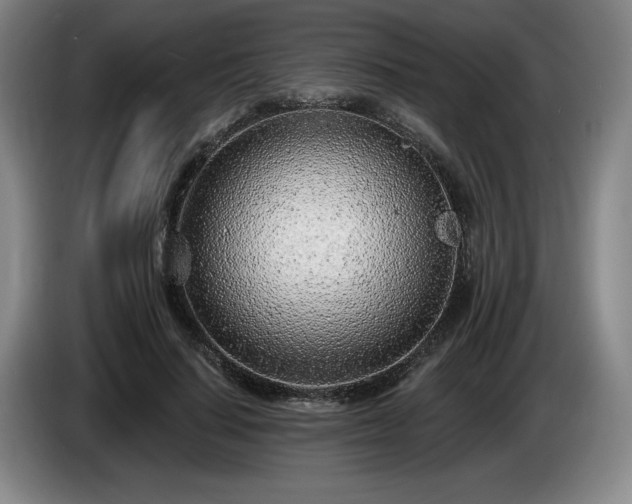 X0000085000644200703121501