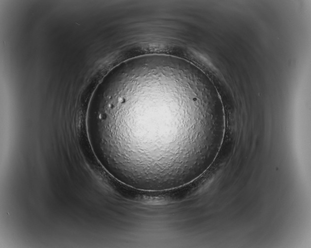 X0000085000645200703121501