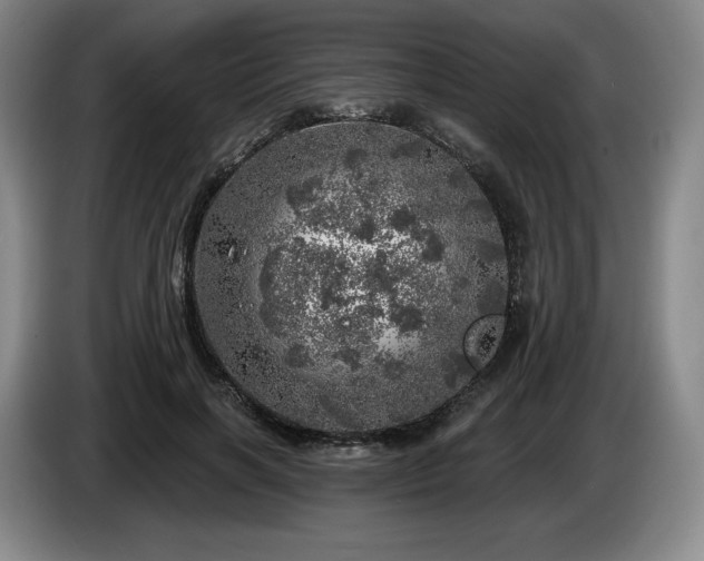 X0000085000646200703121501