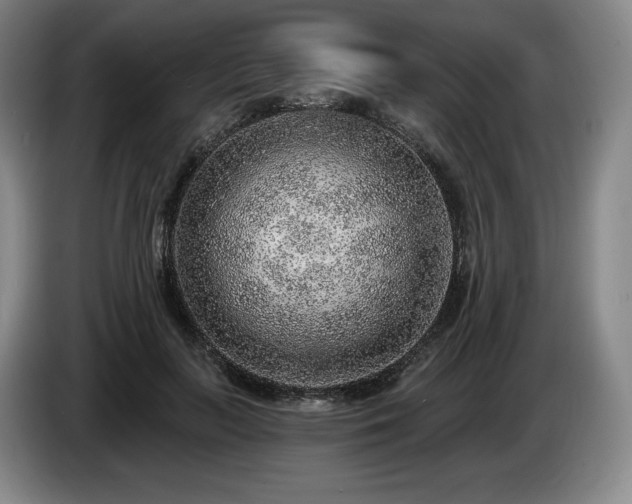 X0000085000647200703121501