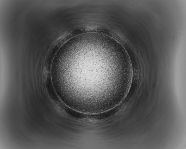 X0000085000648200703121501