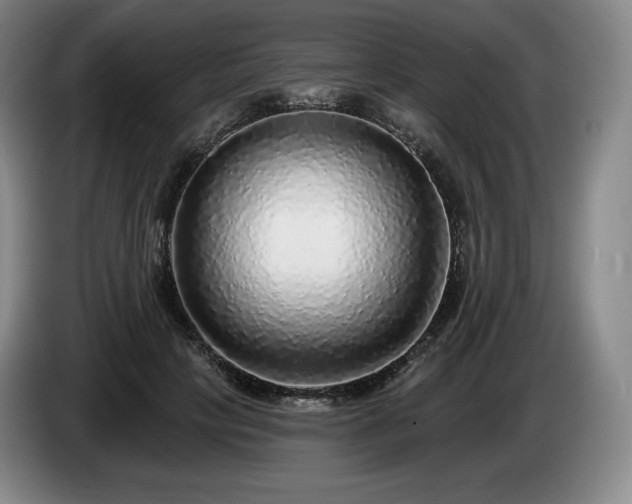 X0000085000649200703121501