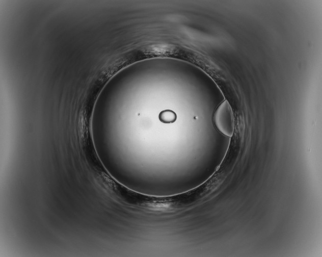 X0000085000651200703121501