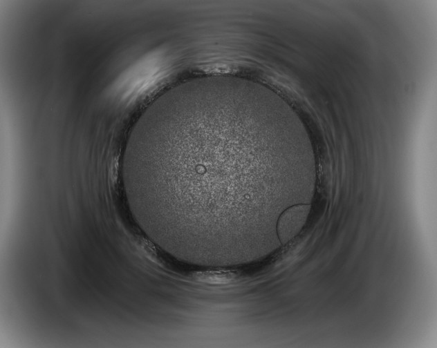 X0000085000652200703121501