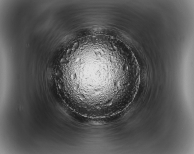 X0000085000654200703121501