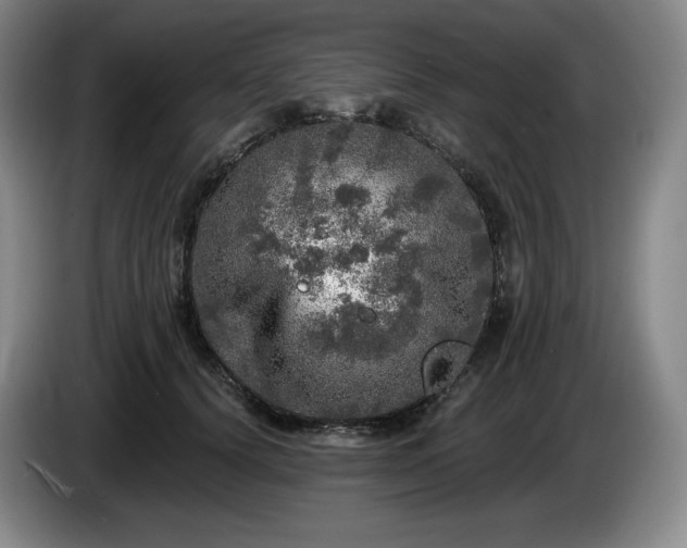 X0000085000656200703121501