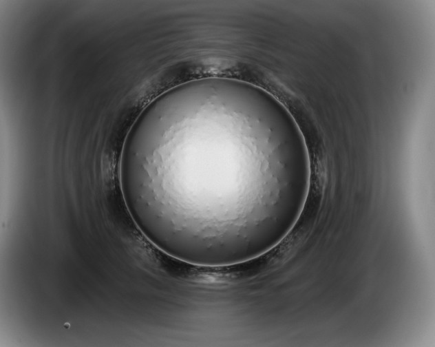 X0000085000657200703121501