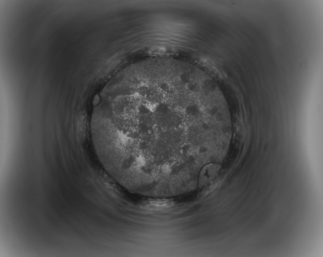 X0000085000659200703121501