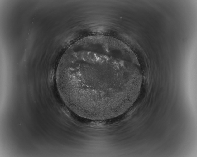 X0000085000660200703121501