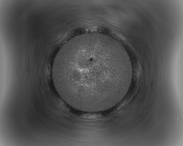 X0000085000661200703121501