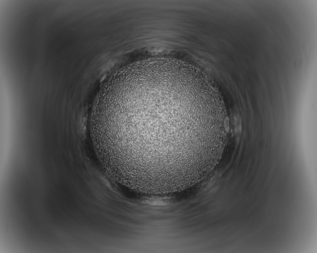 X0000085000664200703121501