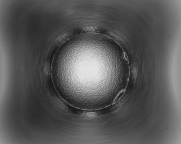 X0000085000665200703121501