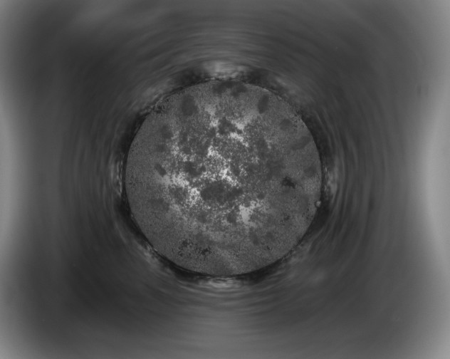 X0000085000666200703121501