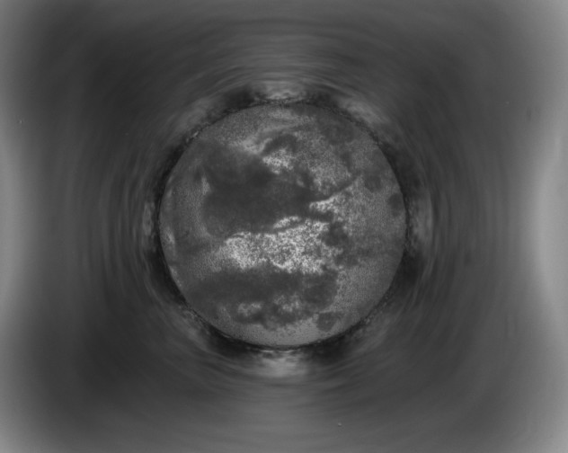 X0000085000667200703121501