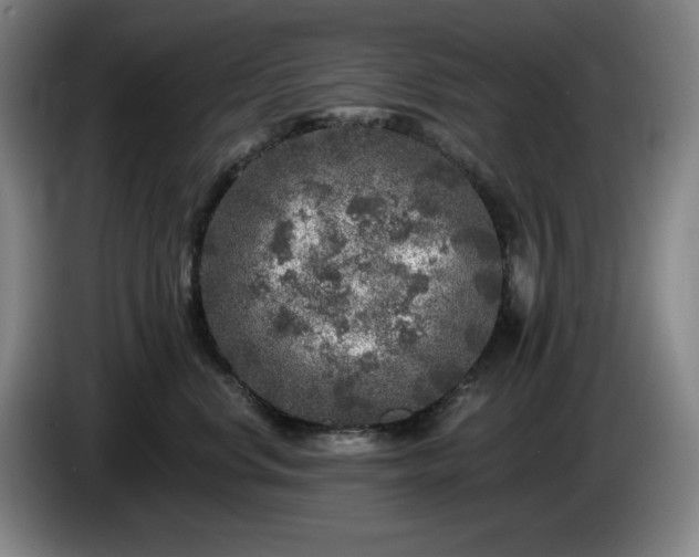 X0000085000668200703121501