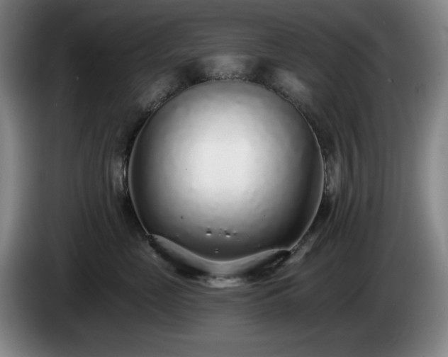 X0000085000669200703121501