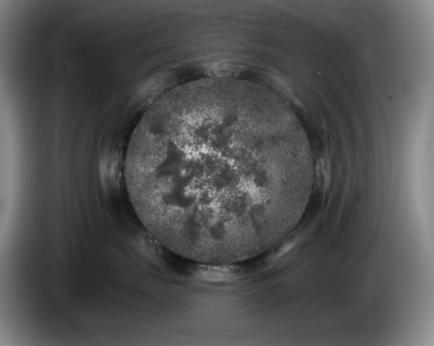 X0000085000671200703121501