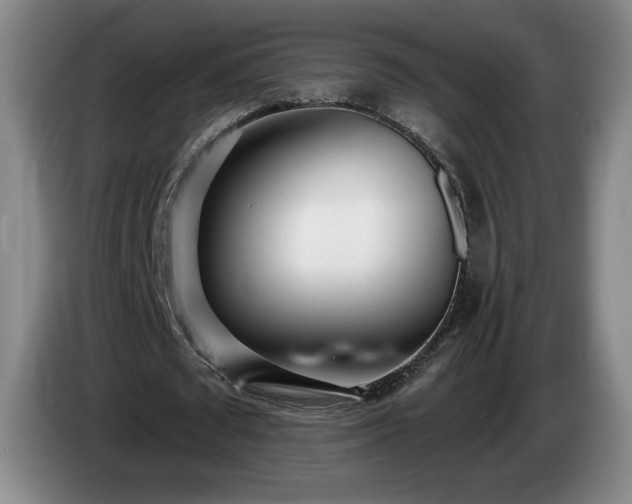 X0000085000673200703121501