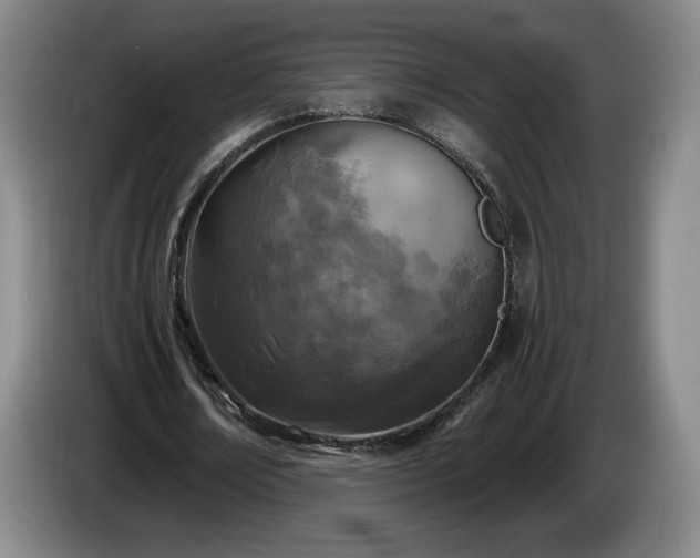 X0000085000674200703121501