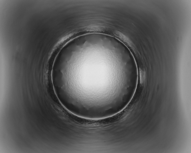 X0000085000675200703121501