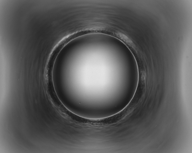 X0000085000676200703121501