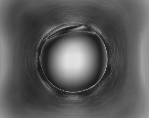 X0000085000677200703121501