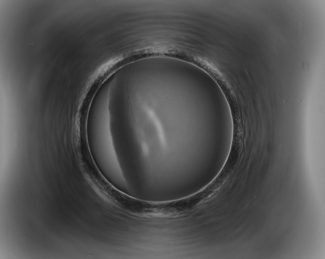 X0000085000678200703121501