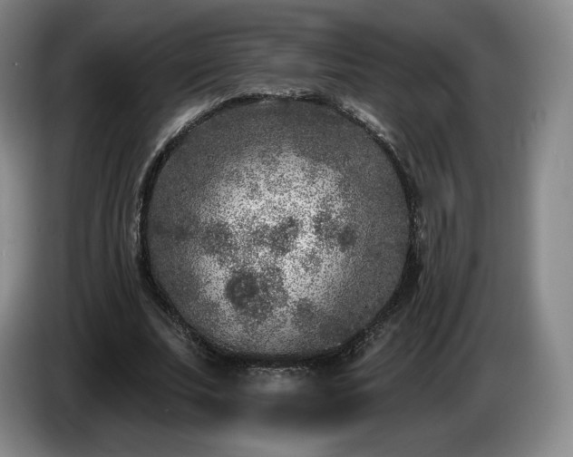 X0000085000679200703121501