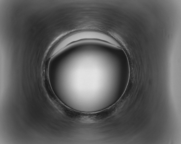 X0000085000680200703121501