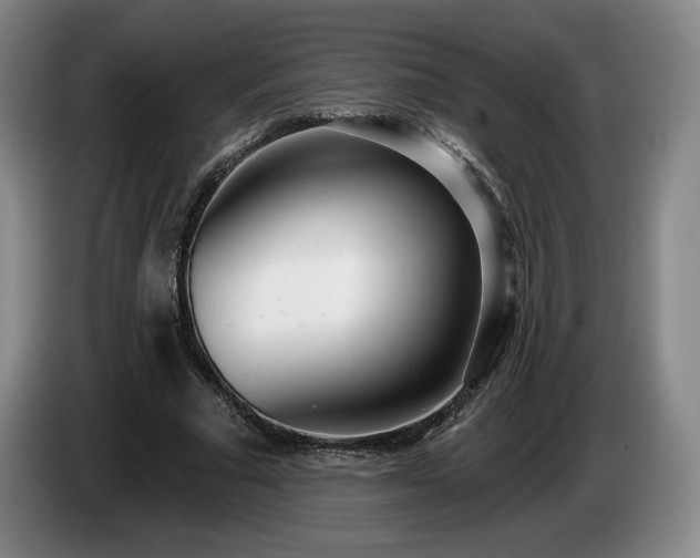 X0000085000681200703121501